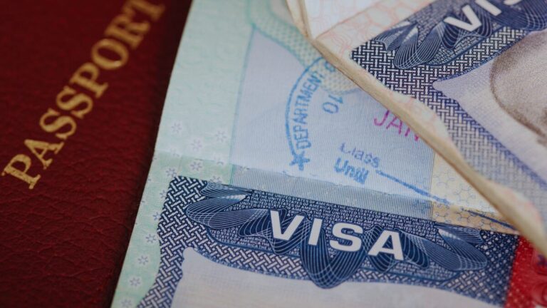 Aesthetic visa and passport