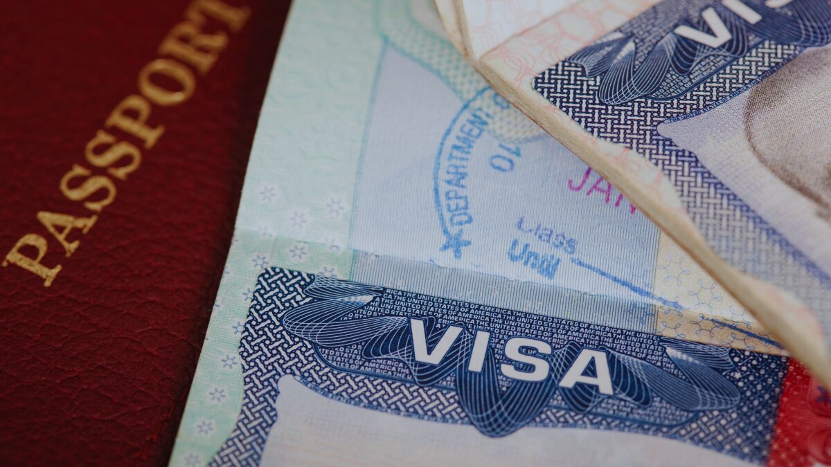 Aesthetic visa and passport