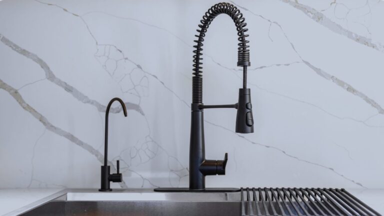 Clean kitchen sink in home to prevent pests before travel