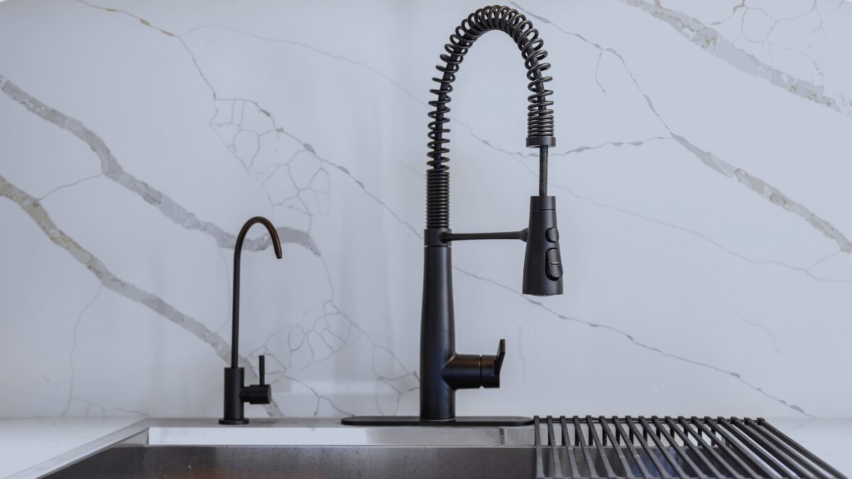 Clean kitchen sink in home to prevent pests before travel